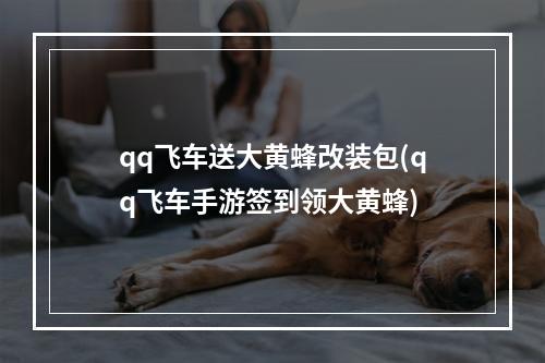 qq飞车送大黄蜂改装包(qq飞车手游签到领大黄蜂)