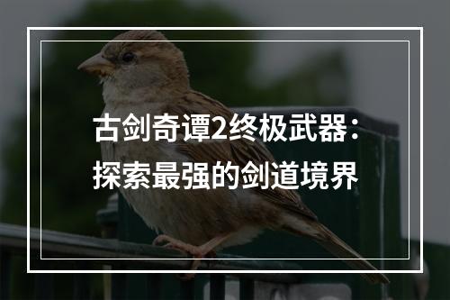 古剑奇谭2终极武器：探索最强的剑道境界