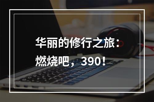 华丽的修行之旅：燃烧吧，390！