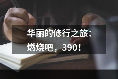 华丽的修行之旅：燃烧吧，390！