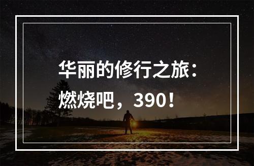 华丽的修行之旅：燃烧吧，390！