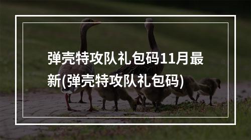 弹壳特攻队礼包码11月最新(弹壳特攻队礼包码)