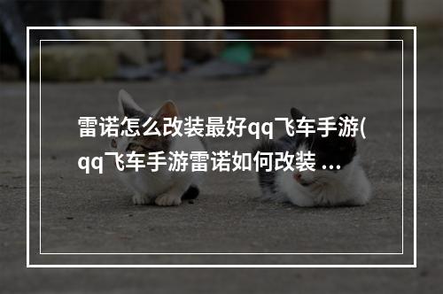 雷诺怎么改装最好qq飞车手游(qq飞车手游雷诺如何改装 雷诺改装攻略 )