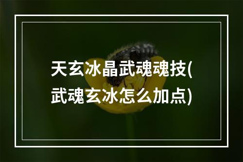 天玄冰晶武魂魂技(武魂玄冰怎么加点)