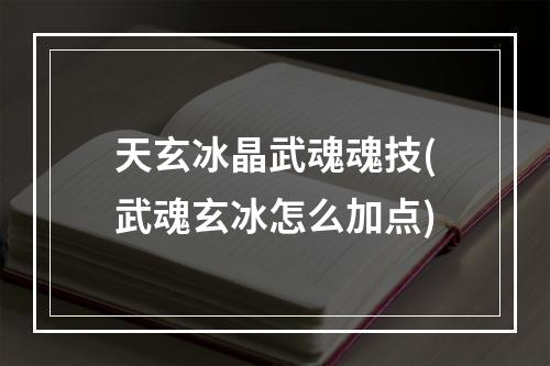 天玄冰晶武魂魂技(武魂玄冰怎么加点)