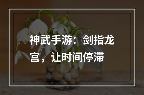 神武手游：剑指龙宫，让时间停滞