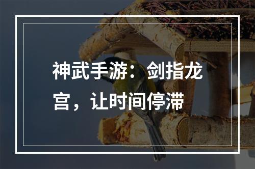 神武手游：剑指龙宫，让时间停滞