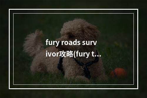 fury roads survivor攻略(fury turn手游攻略)