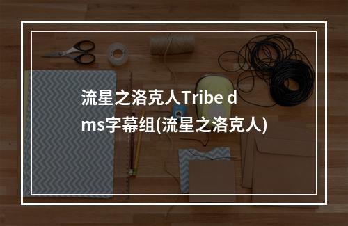 流星之洛克人Tribe dms字幕组(流星之洛克人)