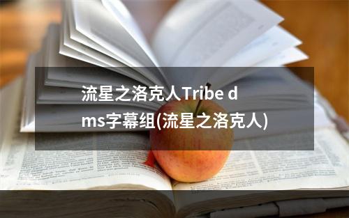 流星之洛克人Tribe dms字幕组(流星之洛克人)