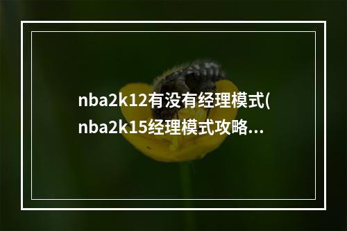 nba2k12有没有经理模式(nba2k15经理模式攻略)