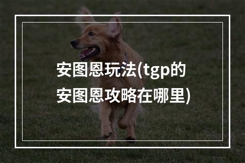 安图恩玩法(tgp的安图恩攻略在哪里)