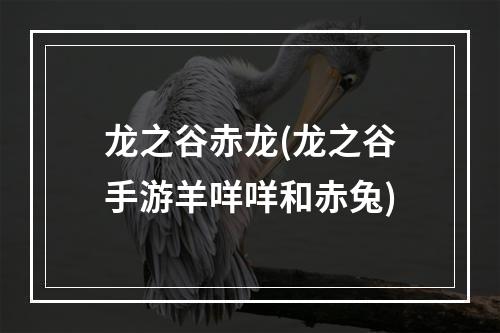 龙之谷赤龙(龙之谷手游羊咩咩和赤兔)