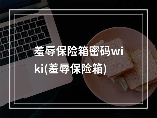 羞辱保险箱密码wiki(羞辱保险箱)