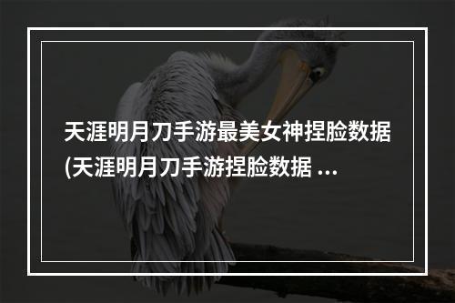 天涯明月刀手游最美女神捏脸数据(天涯明月刀手游捏脸数据 天刀美女捏脸数据)