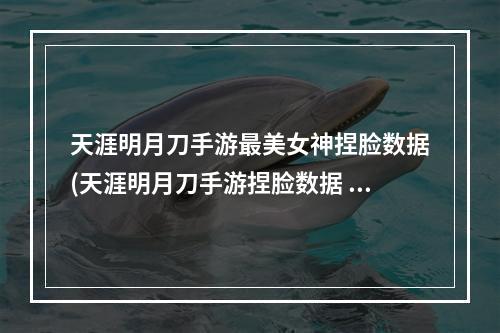 天涯明月刀手游最美女神捏脸数据(天涯明月刀手游捏脸数据 天刀美女捏脸数据)