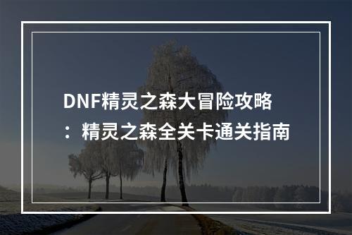 DNF精灵之森大冒险攻略：精灵之森全关卡通关指南