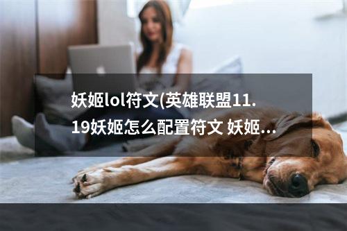 妖姬lol符文(英雄联盟11.19妖姬怎么配置符文 妖姬符文点法 机游 )