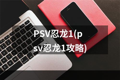 PSV忍龙1(psv忍龙1攻略)