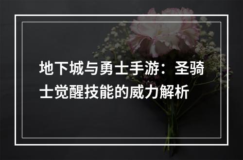 地下城与勇士手游：圣骑士觉醒技能的威力解析