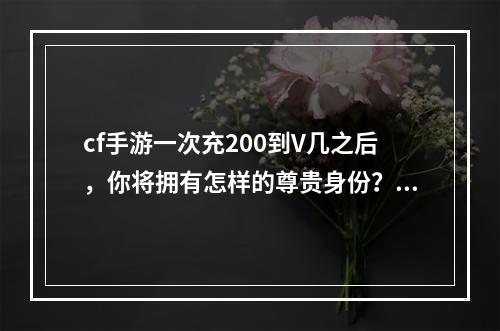 cf手游一次充200到V几之后，你将拥有怎样的尊贵身份？（2享受V身份的10大特权）(享受V身份的10大特权）)