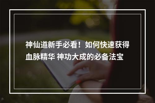 神仙道新手必看！如何快速获得血脉精华 神功大成的必备法宝