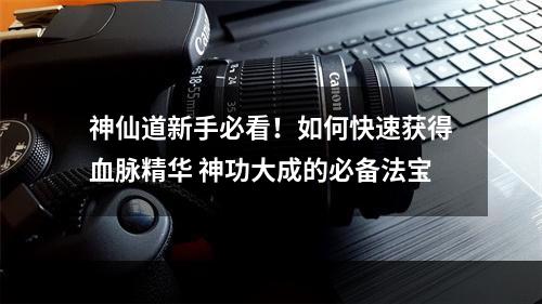 神仙道新手必看！如何快速获得血脉精华 神功大成的必备法宝