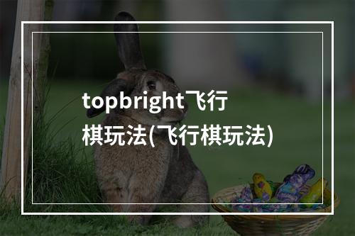 topbright飞行棋玩法(飞行棋玩法)