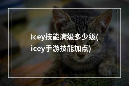 icey技能满级多少级(icey手游技能加点)