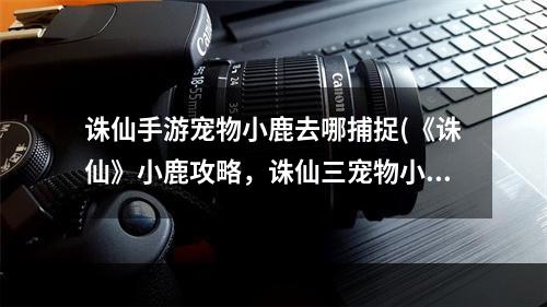 诛仙手游宠物小鹿去哪捕捉(《诛仙》小鹿攻略，诛仙三宠物小鹿 飞升小鹿宠物怎么变)