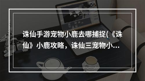 诛仙手游宠物小鹿去哪捕捉(《诛仙》小鹿攻略，诛仙三宠物小鹿 飞升小鹿宠物怎么变)