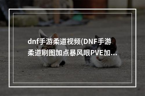 dnf手游柔道视频(DNF手游柔道刷图加点暴风眼PVE加点路线)