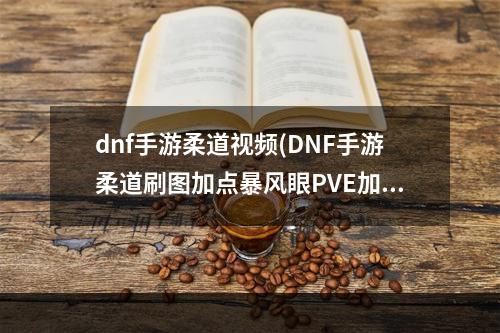 dnf手游柔道视频(DNF手游柔道刷图加点暴风眼PVE加点路线)