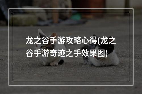 龙之谷手游攻略心得(龙之谷手游奇迹之手效果图)