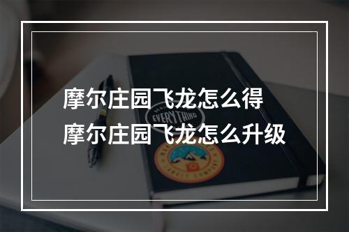 摩尔庄园飞龙怎么得 摩尔庄园飞龙怎么升级