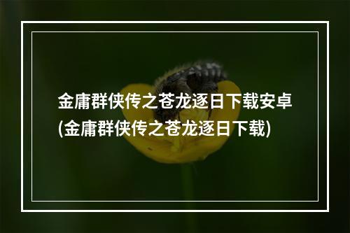 金庸群侠传之苍龙逐日下载安卓(金庸群侠传之苍龙逐日下载)