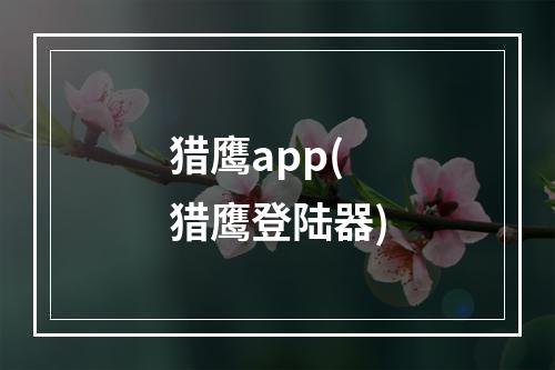 猎鹰app(猎鹰登陆器)