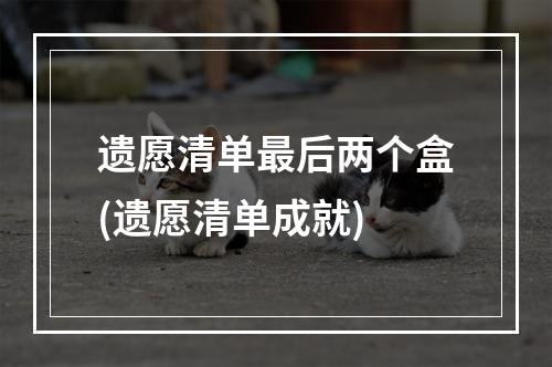 遗愿清单最后两个盒(遗愿清单成就)