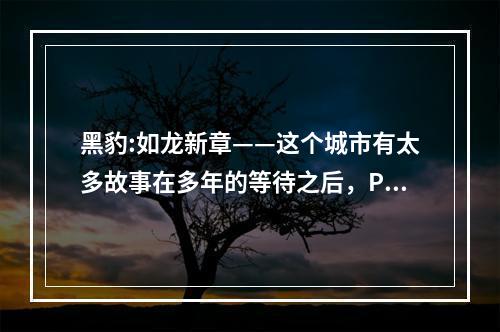 黑豹:如龙新章——这个城市有太多故事在多年的等待之后，PSP版《黑豹:如龙新章》终于与玩家见面了。作为一款充满故事和情感的动作冒险游戏，《黑豹:如龙新章》绝对能