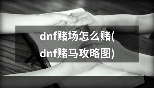 dnf赌场怎么赌(dnf赌马攻略图)