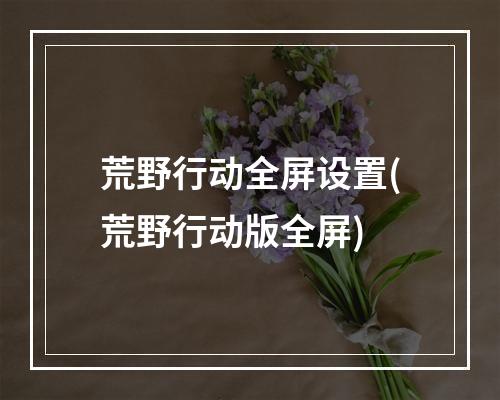 荒野行动全屏设置(荒野行动版全屏)