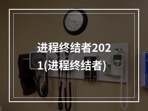 进程终结者2021(进程终结者)