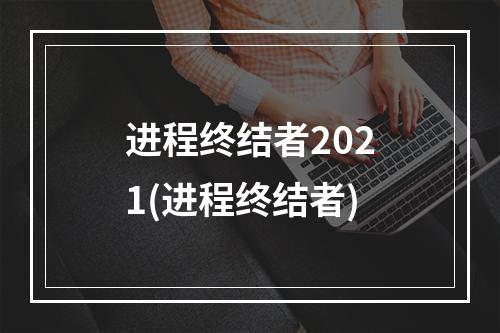 进程终结者2021(进程终结者)