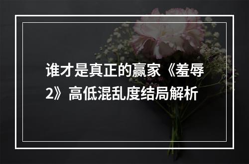 谁才是真正的赢家《羞辱2》高低混乱度结局解析