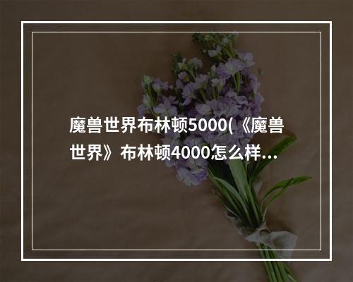 魔兽世界布林顿5000(《魔兽世界》布林顿4000怎么样 布林顿4000介绍  )