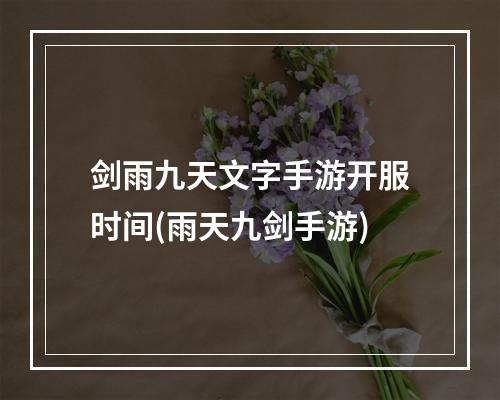 剑雨九天文字手游开服时间(雨天九剑手游)