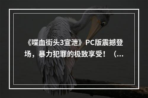 《喋血街头3宣泄》PC版震撼登场，暴力犯罪的极致享受！（生动形象）(掀起惊涛骇浪！《喋血街头3宣泄》PC版让你领略暴力与刺激的极限乐趣！（夸张形容）)