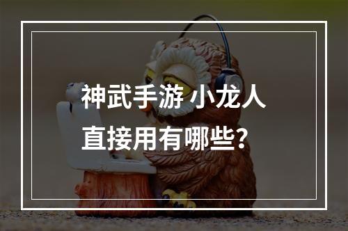 神武手游 小龙人直接用有哪些？