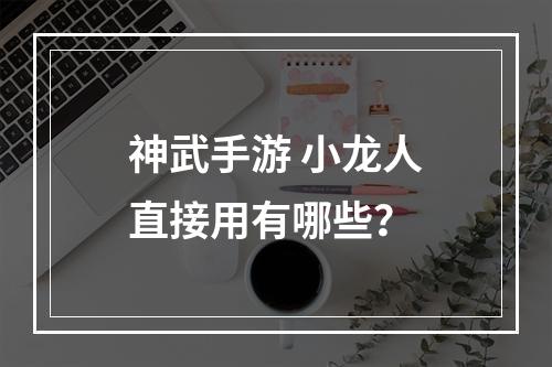 神武手游 小龙人直接用有哪些？