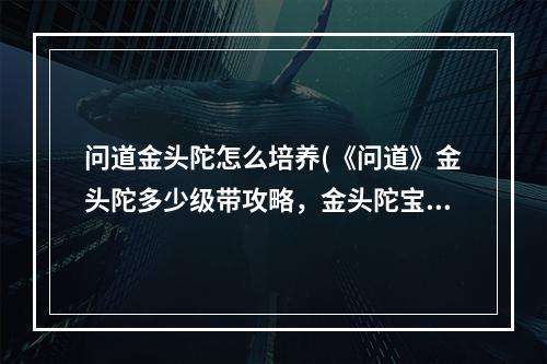 问道金头陀怎么培养(《问道》金头陀多少级带攻略，金头陀宝宝好吗金头陀)